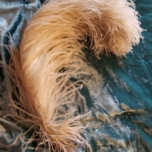 Vintage cream hat feather